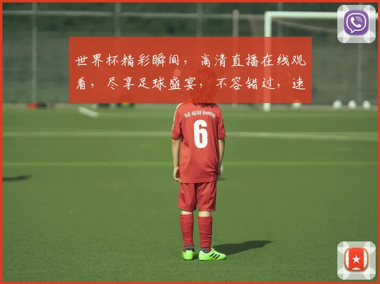 世界杯精彩瞬间，高清直播在线观看，尽享足球盛宴，不容错过，速来一睹为快